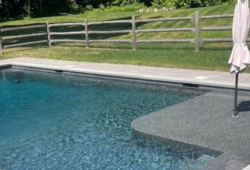 Inspiration Gallery - Pool Tanning Ledges - Image: 441